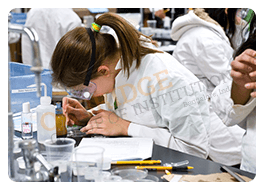 M Pharmacy Colleges in Bangalore Karnataka management quota admission